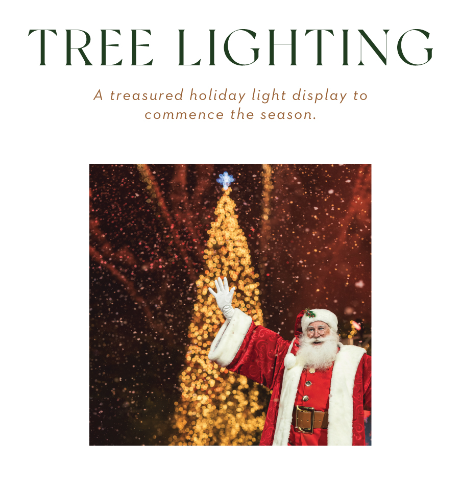 Text: Tree lighting. A treasured holiday light display to commence the season.